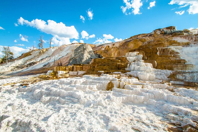 Yellowstone National Park by Gert Hilbink
