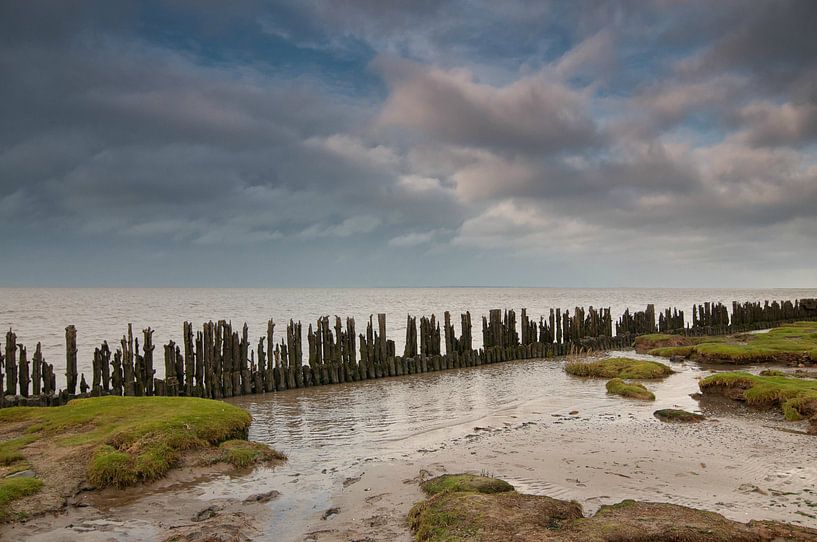 Moddergat von Frank Tauran