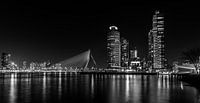 Famous Skyline of Rotterdam