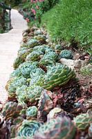 Garten in Costa Rica