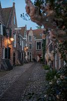 Le portail Coopers avec des fleurs