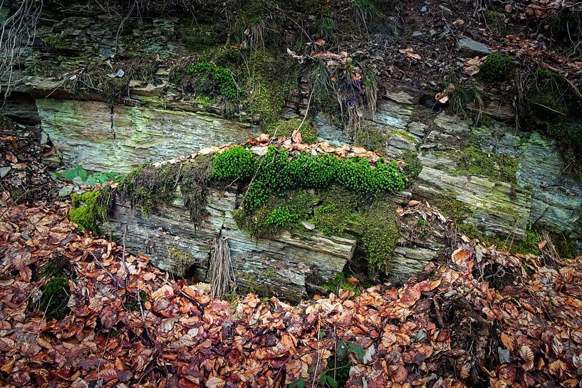 Naturstein @ Barrage de la Gileppe von Rob Boon