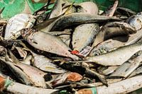 Leuk voor in de keuken.