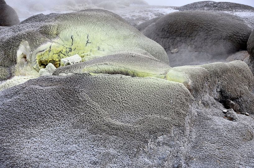 Te Puia: Im Herzen der geothermischen Wunder von Frank Photos