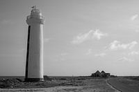 Light and Silence in the South