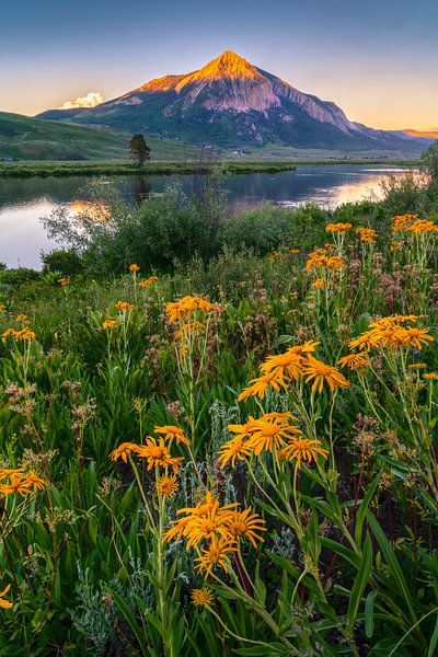 Crested Butte Sommerabend am Peanut Lake - Sommer-Wildblumen - Colorado Mountain Landscape Photography von Daniel Forster