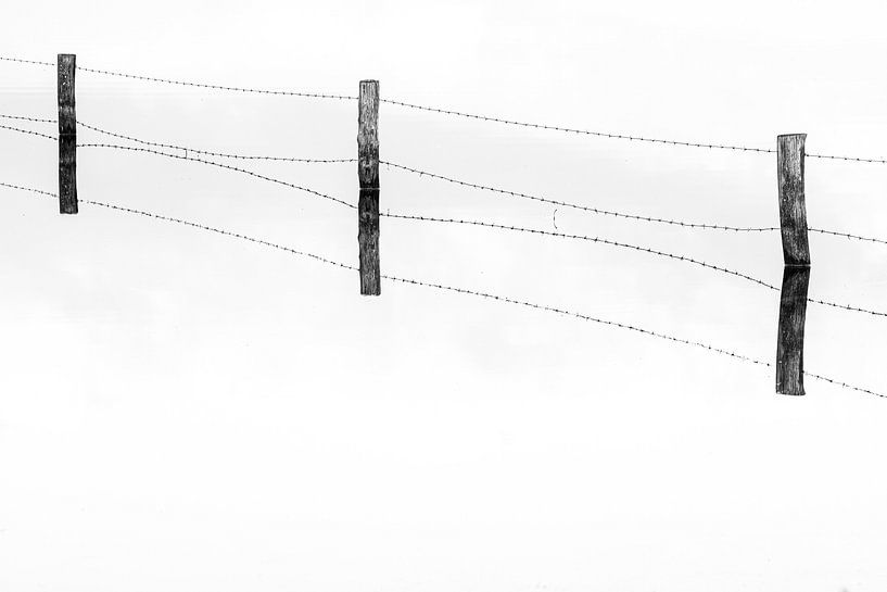 Posts by Elles Rijsdijk