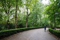 Vondel Park