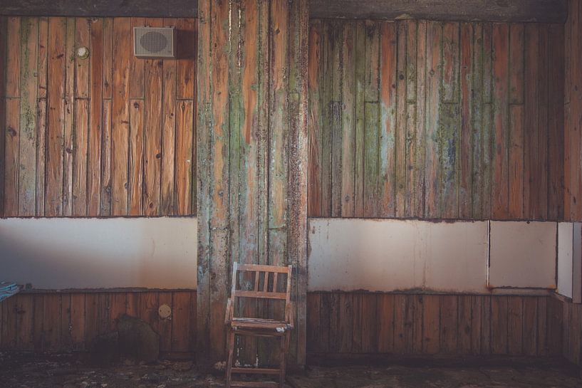 Das Kamelion von On Your Wall