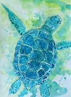 Tortue bleue