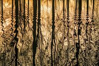 Reflexion bei Sonnenuntergang