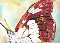 Aquarelle d'un papillon