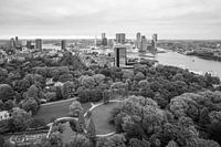Harmony of the Seas à Rotterdam