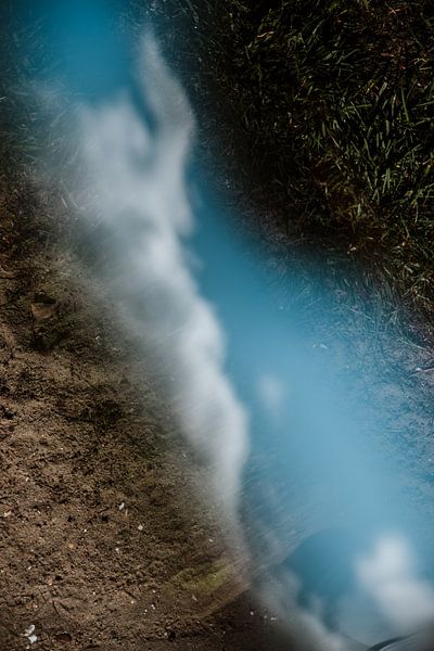 Earth Air and Grass by Willeke Photography