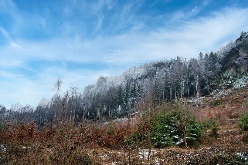 Zschirnstein avec des arbres couverts de neige et du brouillard au sommet par Martin Köbsch