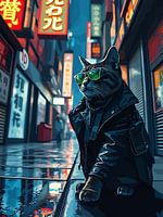 Schattenwandler: Emerald Night Rider