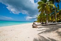 holiday dream picture