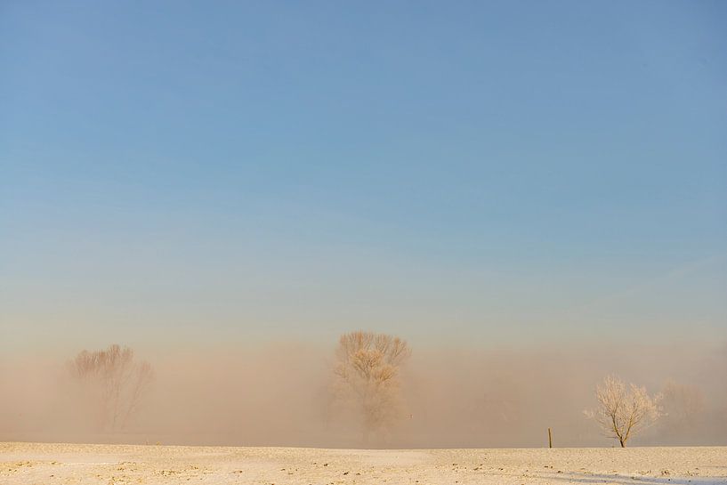 IJssel winter landscape with snow and fog by Sjoerd van der Wal Photography