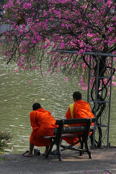 Blossom von Paul Optenkamp