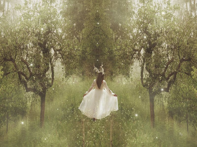 Dawn by Babette van den Berg