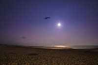sunny day at the beach