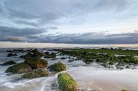 Eau courante visible