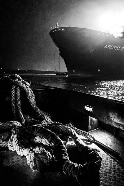 Trusses and ships in the port of Rotterdam by Francisca Snel