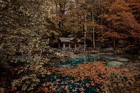 Hut bij Blausee in de herfst