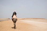 Ägyptischer Mann in traditioneller Kleidung auf einem Kamel in der Wüste bei Gizeh.