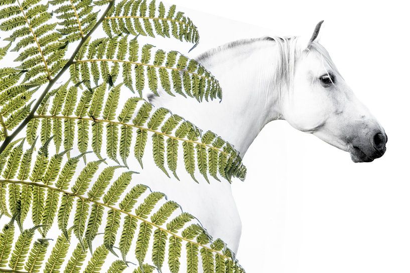 Cheval en harmonie avec la structure des fougères par Femke Ketelaar