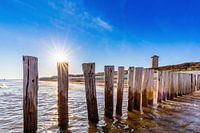 Le brise-lames de la plage de Domburg