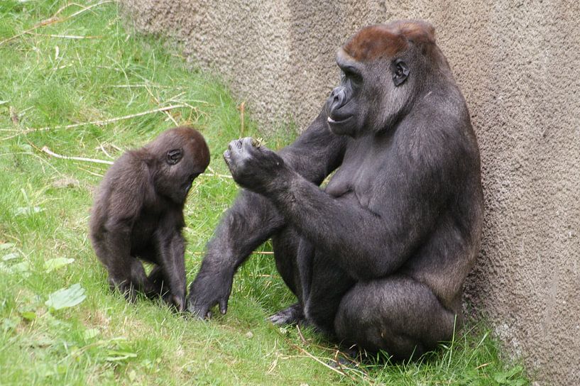 Wijze lessen par Ronald en Bart van Berkel