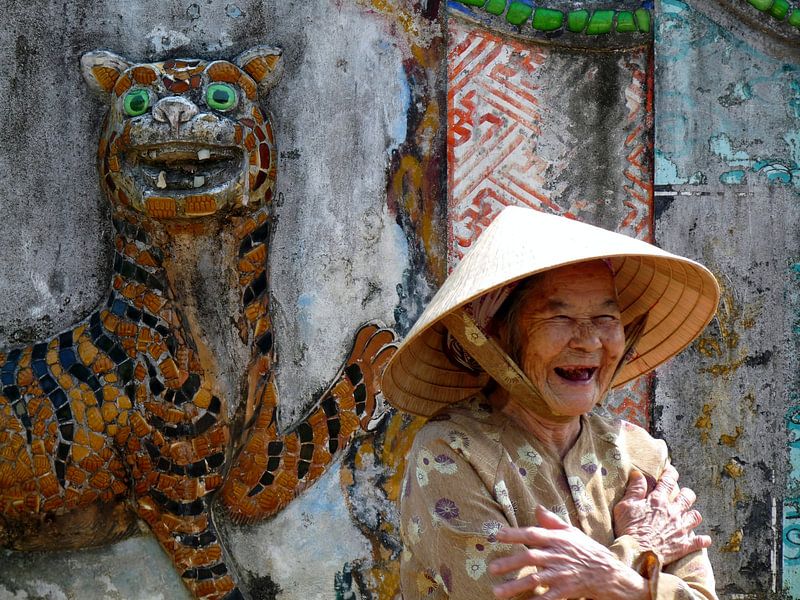 Tijger en oude dame van Eric Nagel