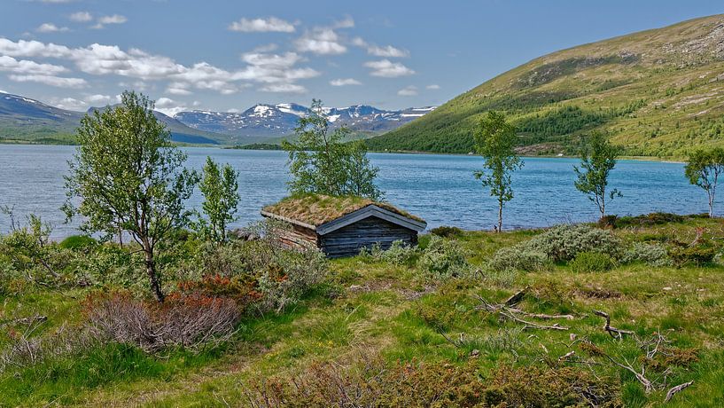 Norwegen, Sommer by Michael Schreier