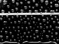 Wassertropfen oder Perlen der Natur