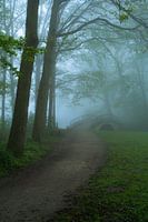 path through the park