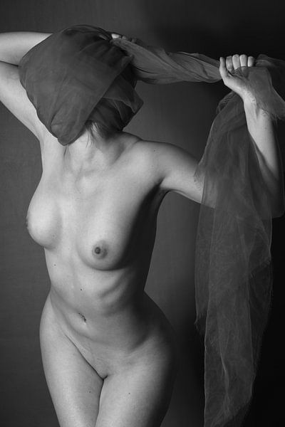 Nude von Falko Follert