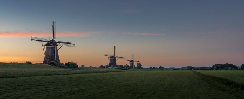Die drei Mühlen des Driemanspolder von Toon van den Einde