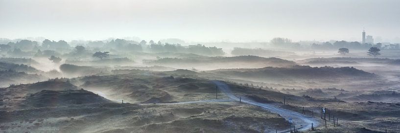 Nebel in den Dünen bei Huisduinen und Den Helder von eric van der eijk