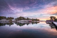 Baie de Flatvarp 2024 (3)