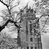 Grote Kerk Dordrecht (Frühjahr April 1968)