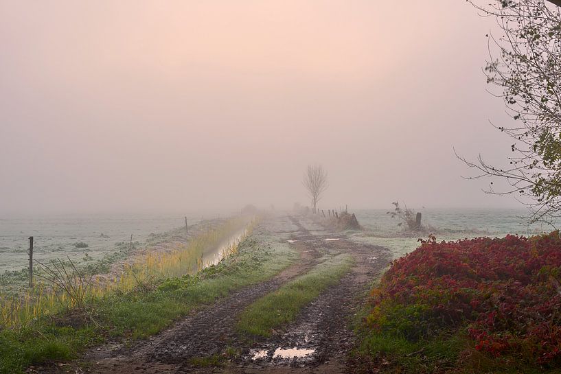 Sunrise in misty landscape by Jenco van Zalk