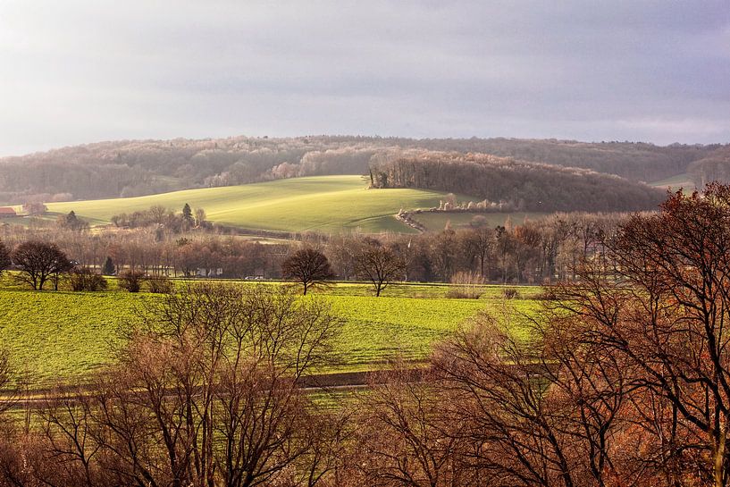 Partij-Wittem by Rob Boon