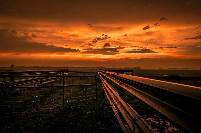 Na de regen! par Verliefd op Utrecht