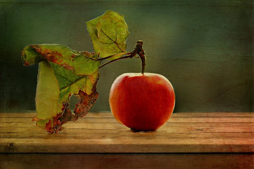 Apfelstillleben von Heike Hultsch