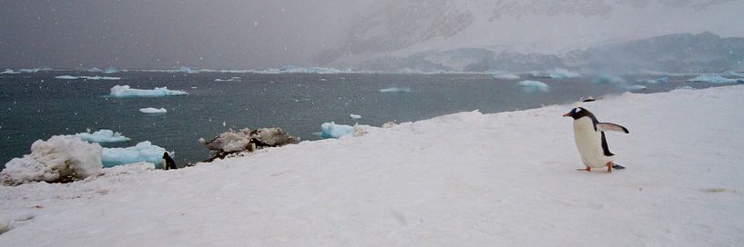 Ein Überblick vom Festland aus von Eric de Haan