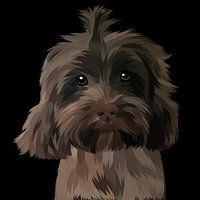 petit chien marron foncé