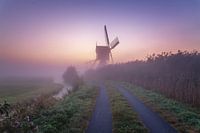 Foggy dutch sunrise