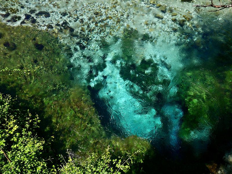 Syr i Kalter Albanien von Judith van Wijk