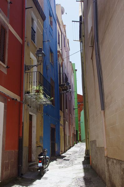 Colorfull Bosa von Maarten van Dam